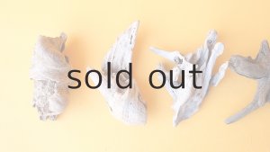 画像2: 変形流木セット