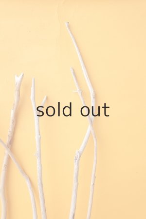 画像7: 小枝流木セット