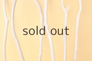 画像3: 小枝流木セット