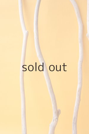 画像5: 小枝流木セット