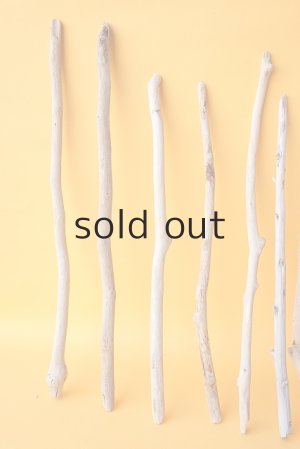 画像2: 小枝流木セット