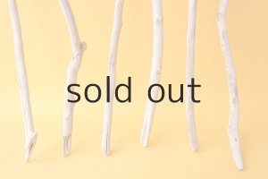 画像2: 小枝流木セット