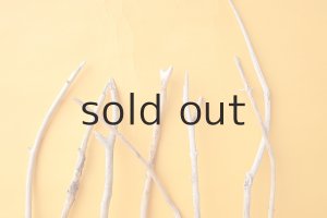 画像4: 小枝流木セット