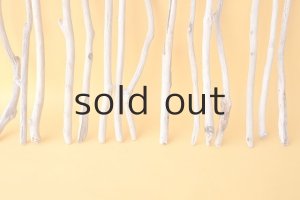 画像5: 小枝流木セット