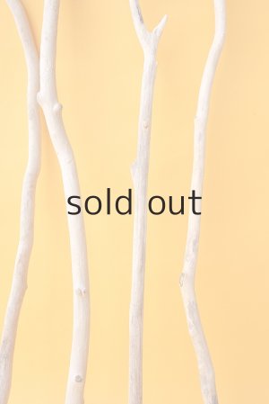 画像6: 小枝流木セット