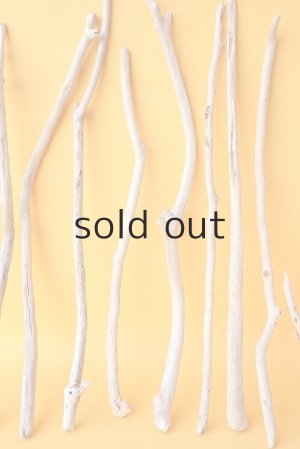 画像3: 小枝流木セット