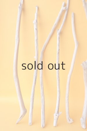 画像2: 小枝流木セット