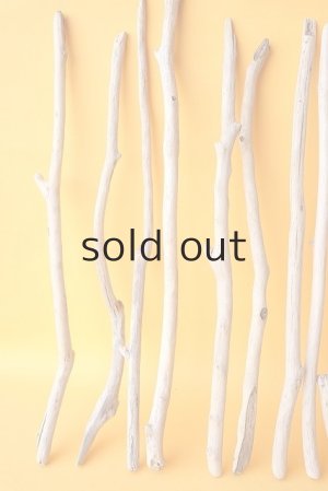 画像2: 小枝流木セット