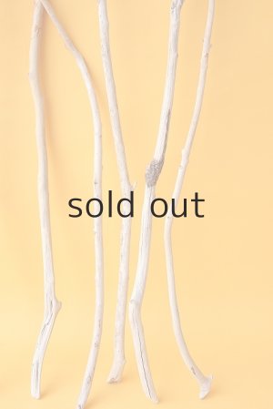 画像6: 小枝流木セット