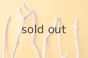 画像4: 小枝流木セット