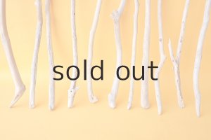 画像5: 小枝流木セット