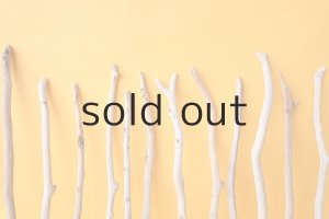 画像6: 小枝流木セット