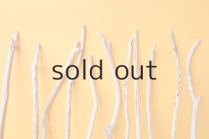 画像6: 小枝流木セット