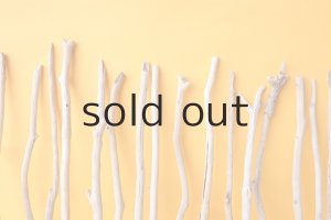 画像6: 小枝流木セット