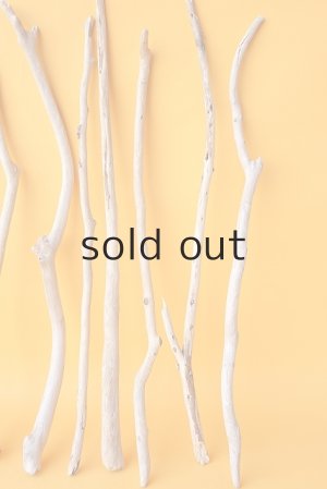 画像4: 小枝流木セット