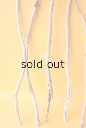 画像5: 小枝流木セット