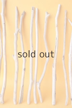 画像3: 小枝流木セット