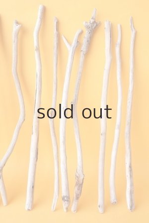 画像4: 小枝流木セット