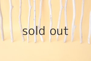 画像5: 小枝流木セット