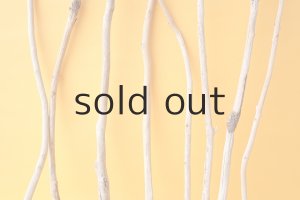 画像3: 小枝流木セット