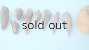 画像7: 変形流木セット