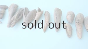 画像6: 変形流木セット