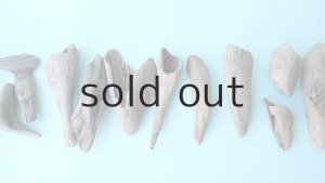 画像3: 変形流木セット