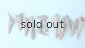 画像2: 変形流木セット