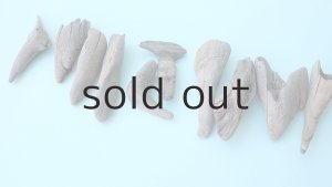 画像5: 変形流木セット