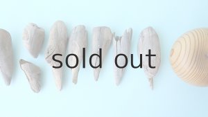 画像4: 変形流木セット