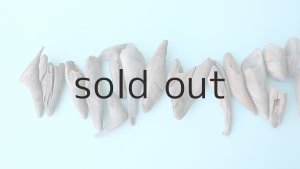 画像8: 変形流木セット