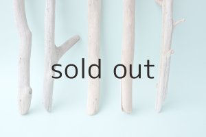 画像5: 小枝流木セット