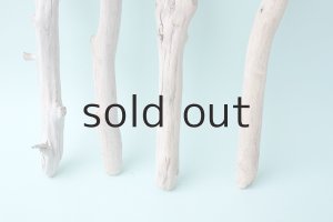 画像2: 小枝流木セット