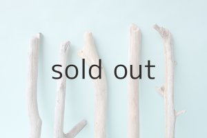 画像6: 小枝流木セット