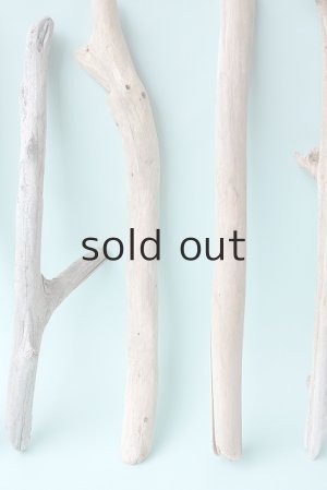 画像3: 小枝流木セット