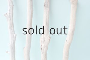 画像3: 小枝流木セット