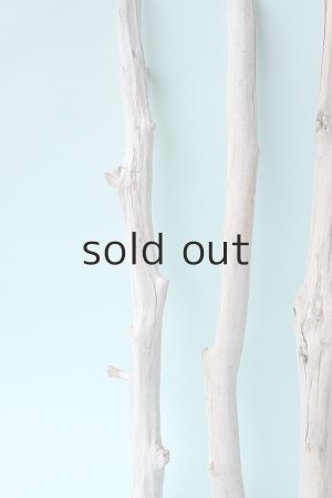 画像5: 小枝流木セット