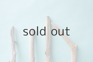 画像4: 小枝流木セット