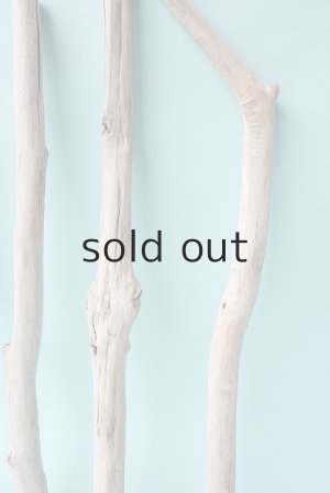 画像6: 小枝流木セット