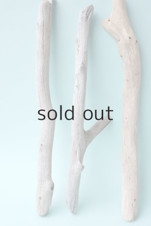 画像2: 小枝流木セット