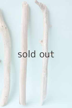 画像4: 小枝流木セット