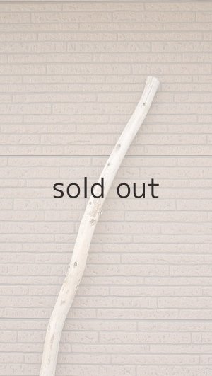 画像4: 棒流木・長尺