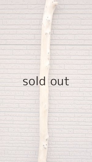 画像3: 棒流木・長尺