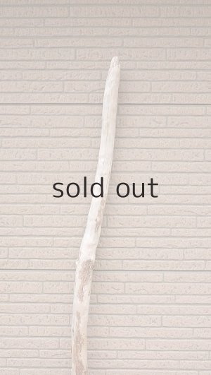 画像4: 棒流木・長尺