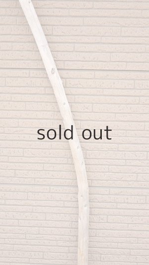 画像3: 棒流木・長尺