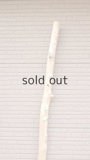 画像4: 棒流木・長尺
