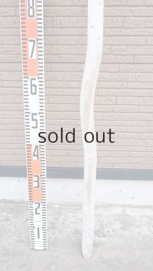 画像5: 棒流木・長尺