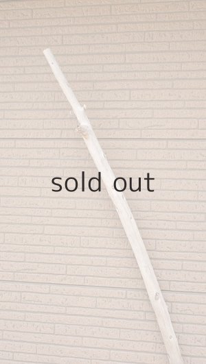 画像4: 棒流木・長尺