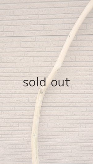 画像3: 棒流木・長尺