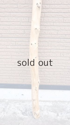 画像2: 棒流木・長尺